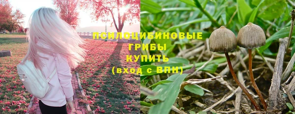 стафф Алексеевка