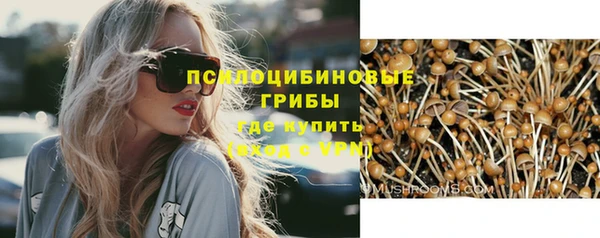 амф Алексин
